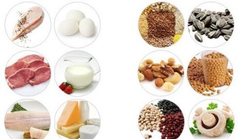 Foods rich in animal and plant proteins for male potency